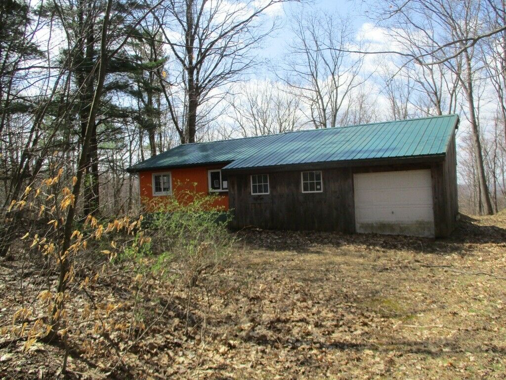 Cabin In New York On One Acre With Well, Septic, Electric.