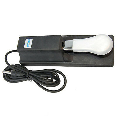 Hqrp Sustain Pedal For Casio Ctk-3200 Ctk-4200 Wk-220 Wk-225 Wk-1300 Keyboards