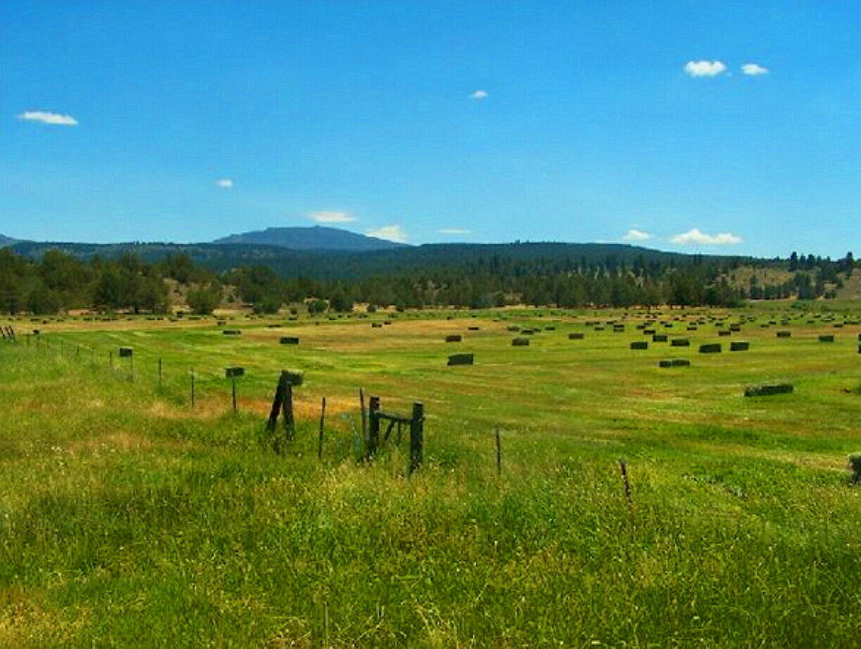 Dream Land  Build-able Property Modoc County