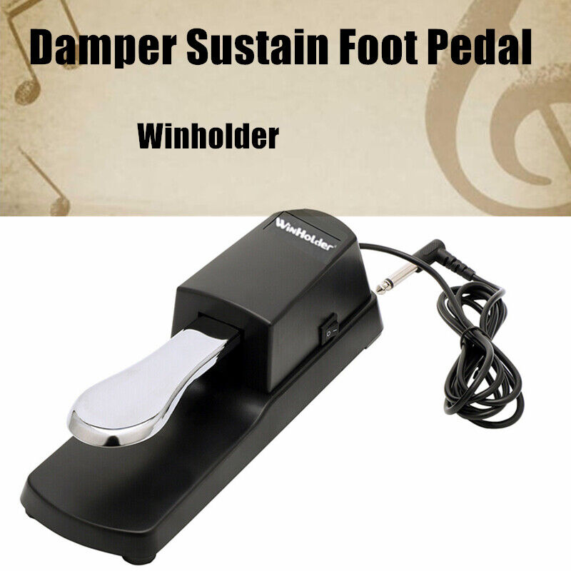 Universal Piano/keyboard Sustain Foot Pedal Winholder