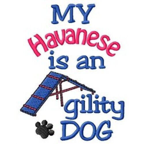My Havanese Is An Agility Dog Sweatshirt - Dc2004l Size S - Xxl