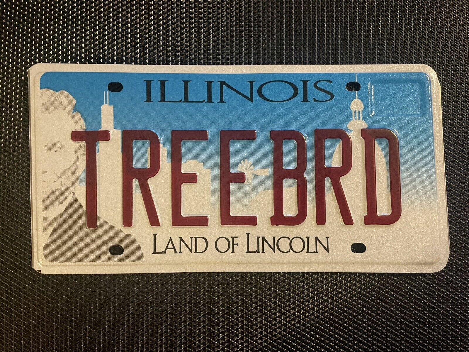 Illinois License Plate Vanity Personalized Treebrd Tree Bird Sparrow Cardinal